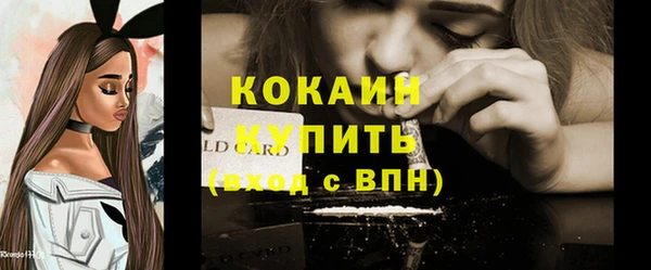 стафф Арсеньев