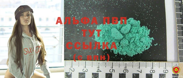 стафф Арсеньев