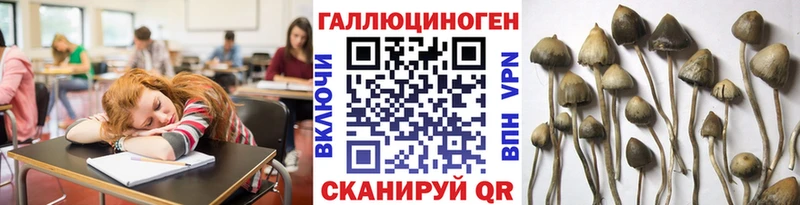 мориарти как зайти blacksprut Лыткарино Галлюциногенные грибы Psilocybe